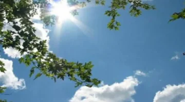 طقس نهاية الأسبوع يشهد انخفاضًا في الحرارة مع شبورة كثيفة تؤثر على الرؤية في الصباح